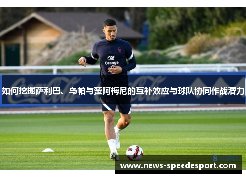 如何挖掘萨利巴、乌帕与楚阿梅尼的互补效应与球队协同作战潜力