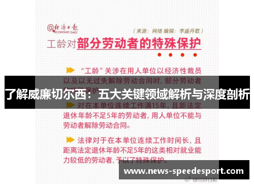 了解威廉切尔西：五大关键领域解析与深度剖析