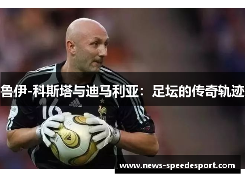 鲁伊-科斯塔与迪马利亚:足坛的传奇轨迹 鲁伊-科斯塔与迪马利亚:足坛的传奇轨迹